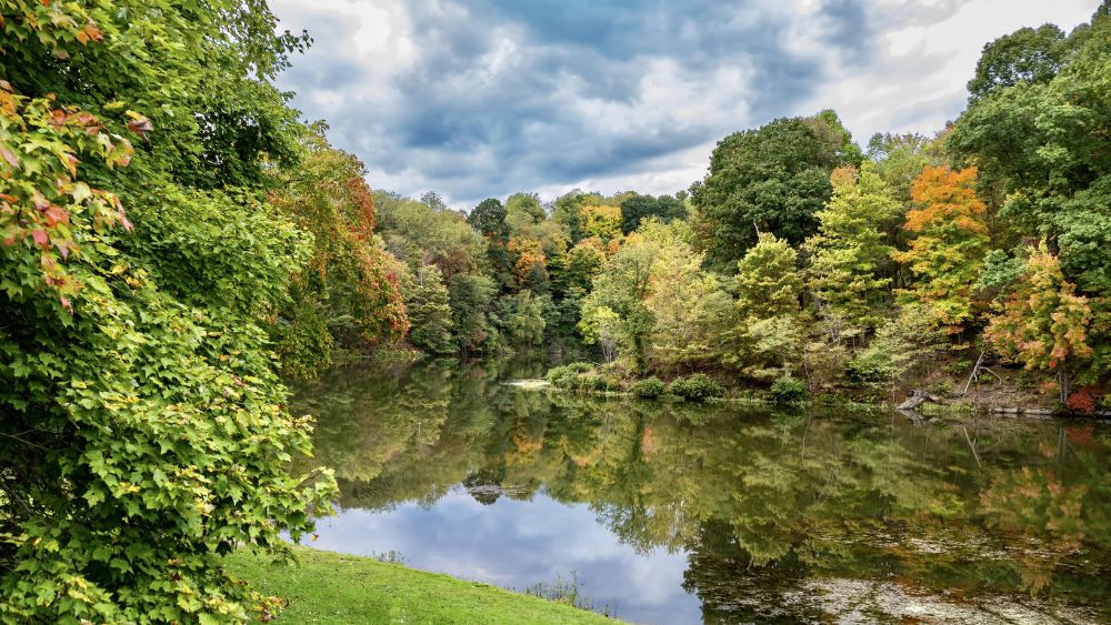 tomlinson-run-state-park-west-virginia