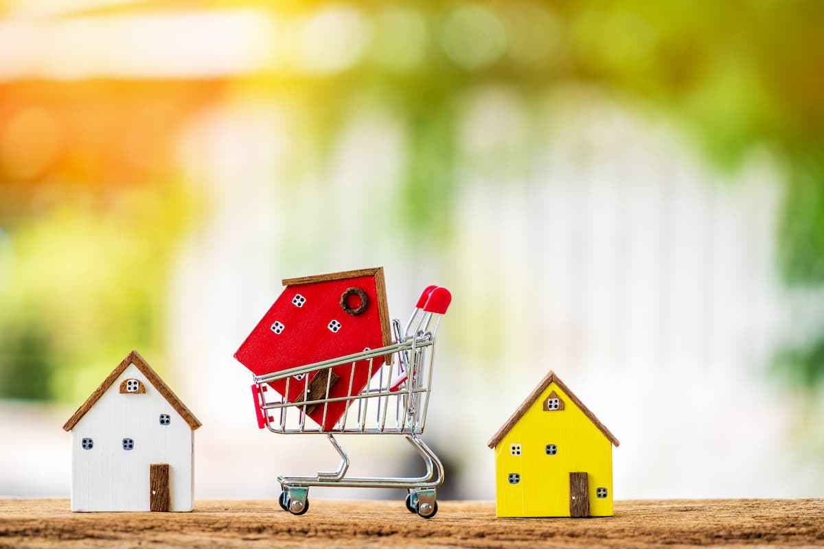 mini-shopping-cart-homes