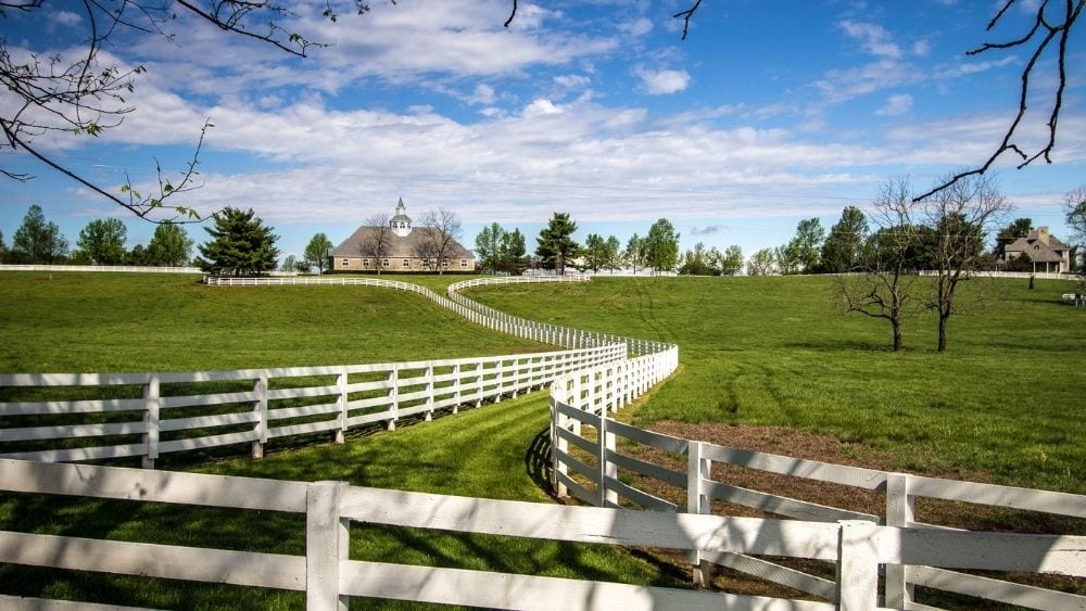 donamire-farms-lexington-kentucky