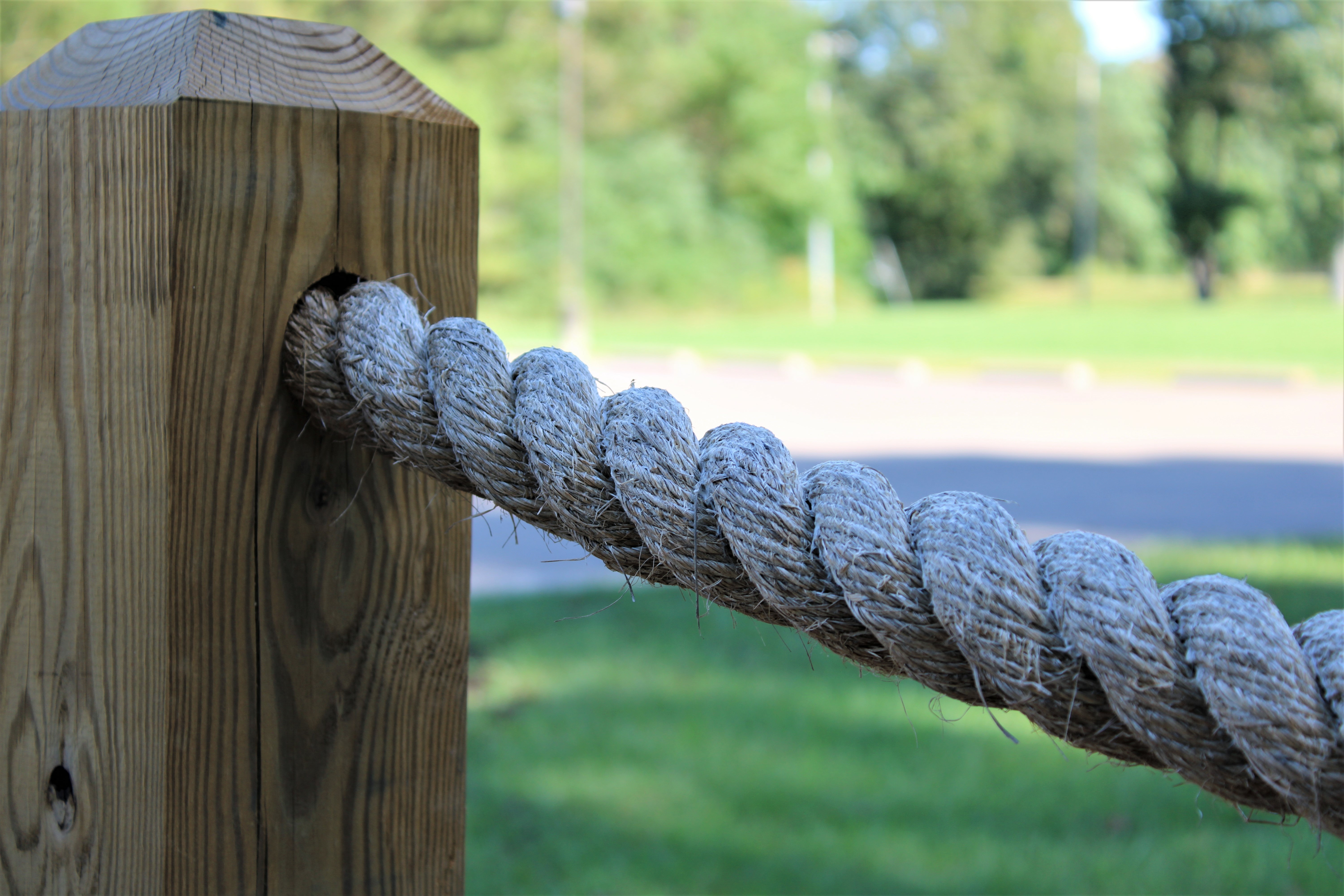 roped pole in front of park and treed area