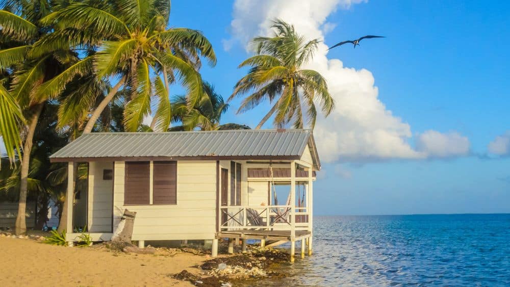 Best Tiny Home Builders in Hawaii - NewHomeSource.com