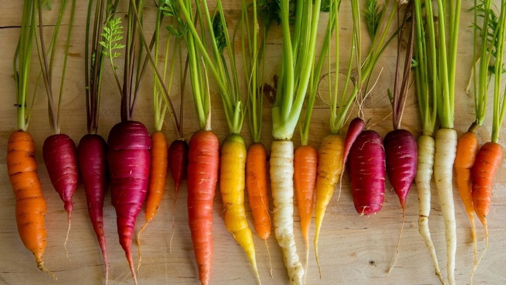 colorful carrots
