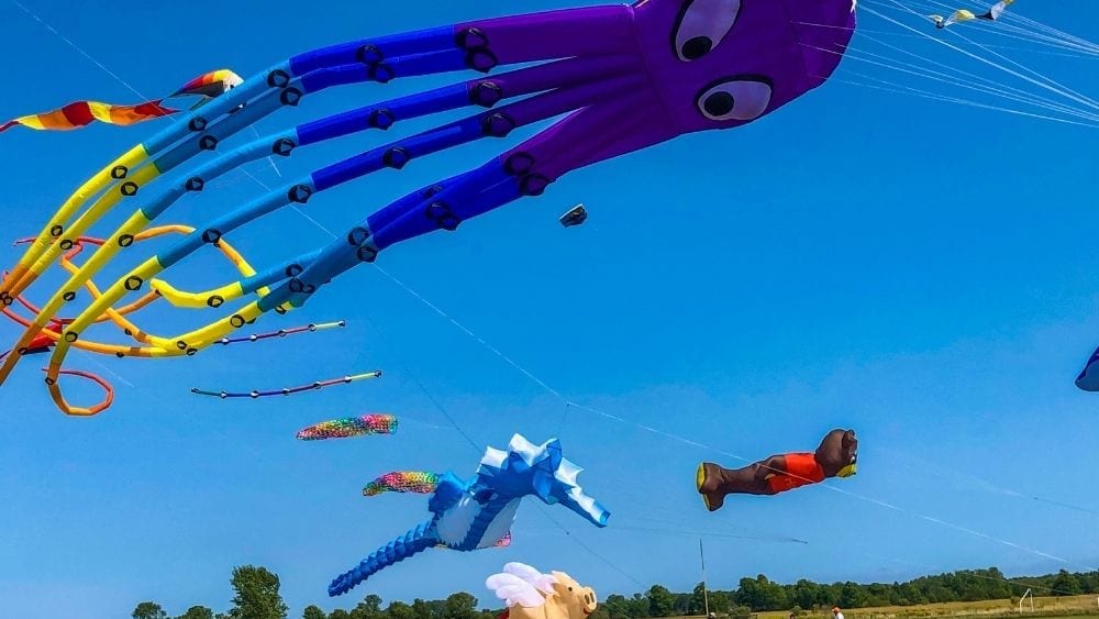Kites flown at Two Rivers, Wisconsin