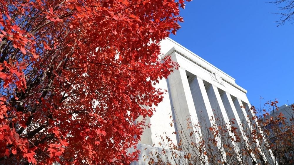 The Dauphin County Courthouse with a tree blooming in front.