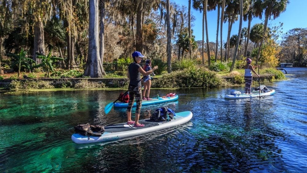 Three people paddleboarding on a clear day.