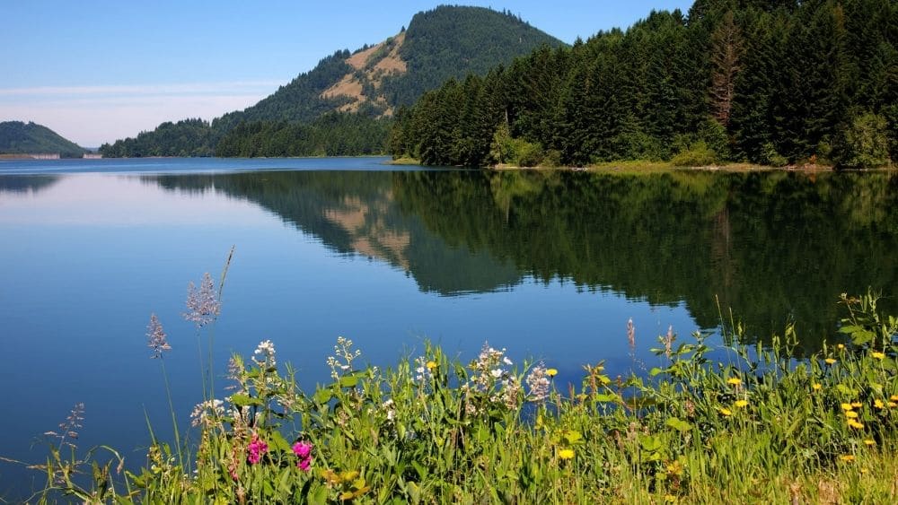 Dorena Reservoir, near Cottage Grove, Oregon. with a mountain range in the background