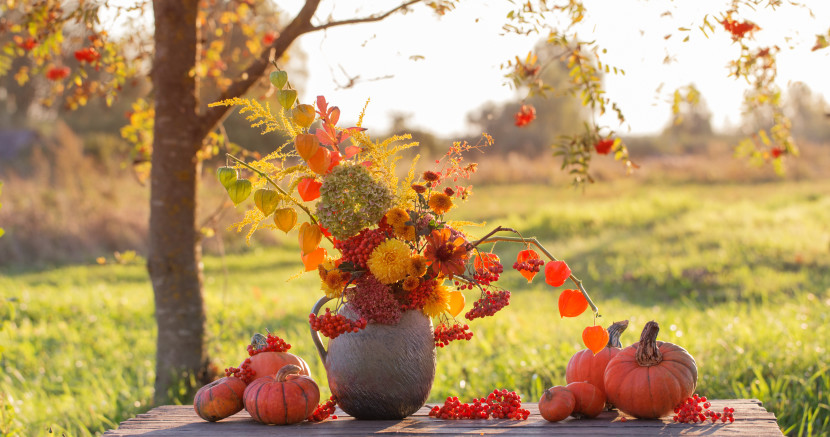 Thanksgiving table set outdoors, with fall leaves, pumpkin and red and orange floral centerpiece