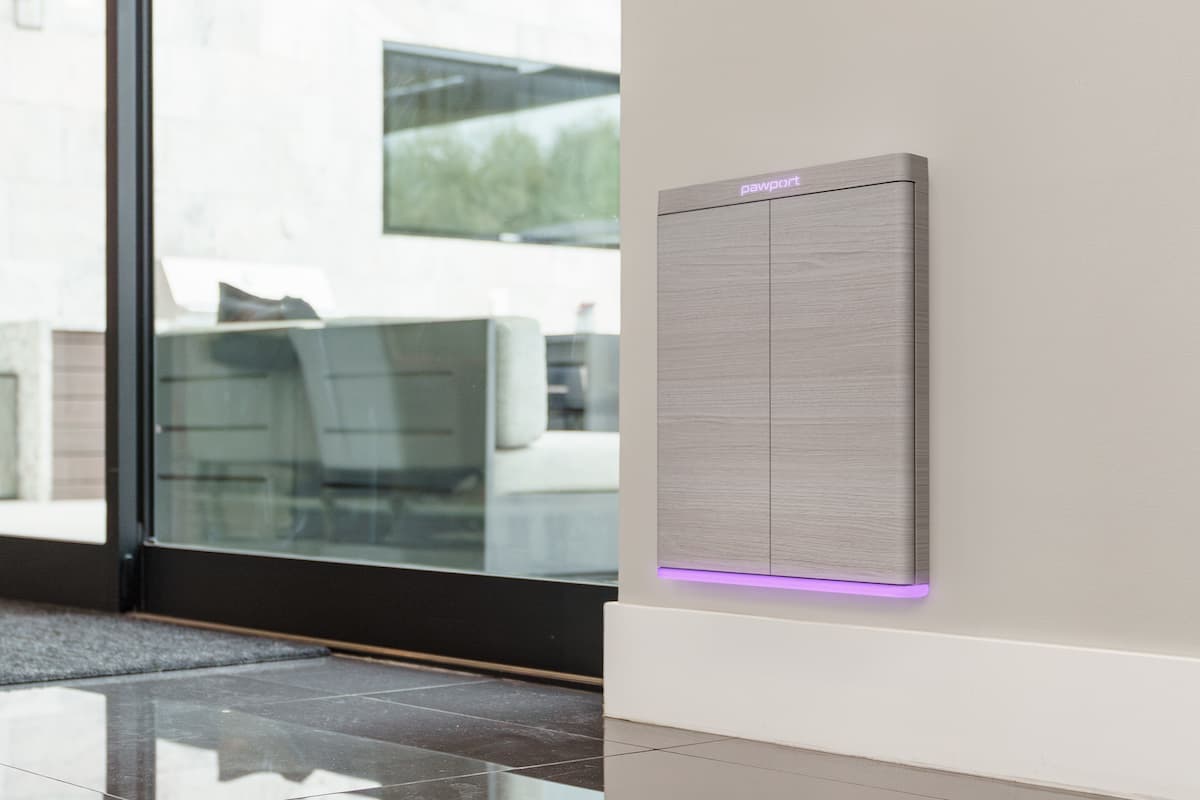 Pawport dog door, grey, in a wall next to a window