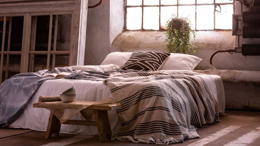 unmade bed with throw pillows, against a window and a green plant
