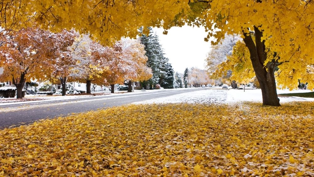 fall landscape in blackfoot, idaho