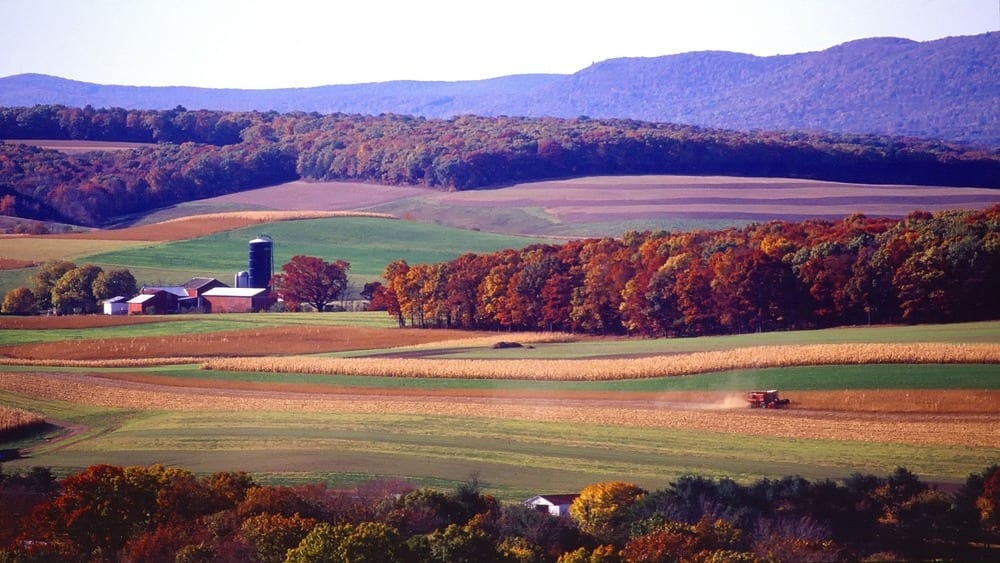 pennsylvania-farm-1