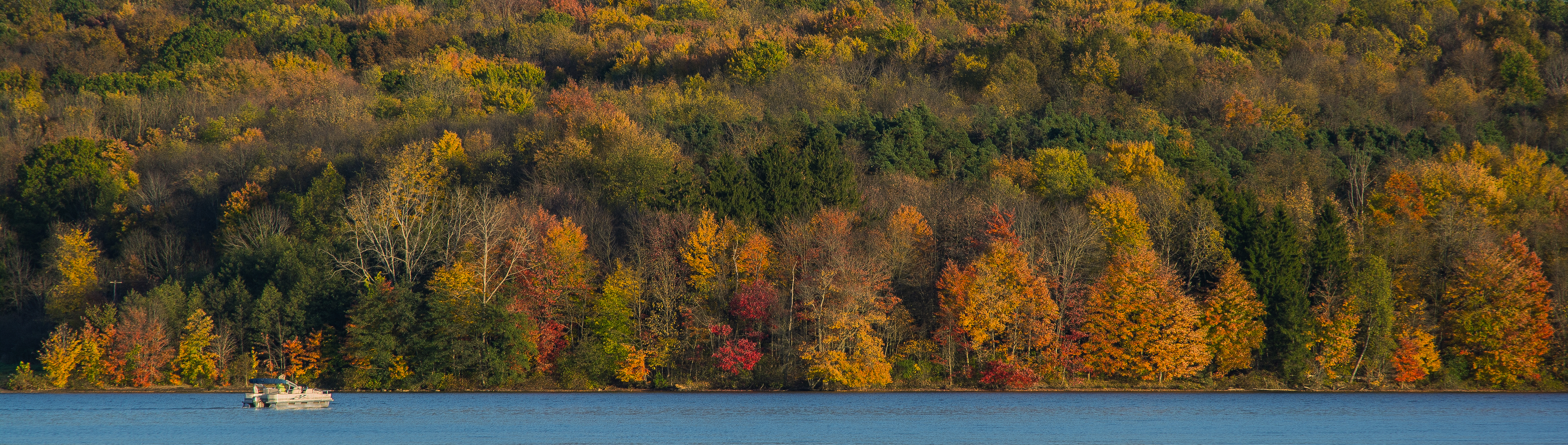 beautiful fall foliage in Moraine State Park with Lake Butler in the foreground