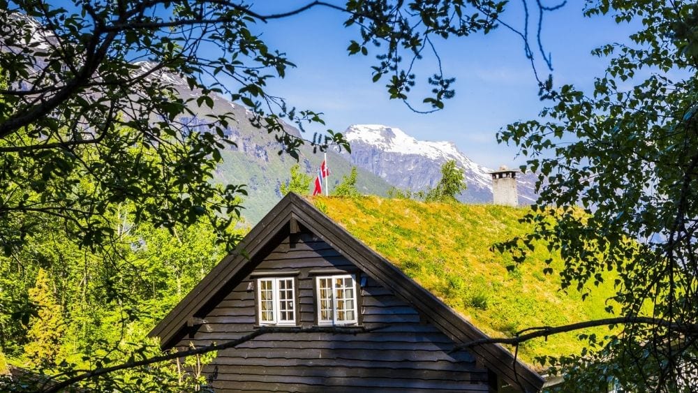 A green roof viewed through a break in the trees.
