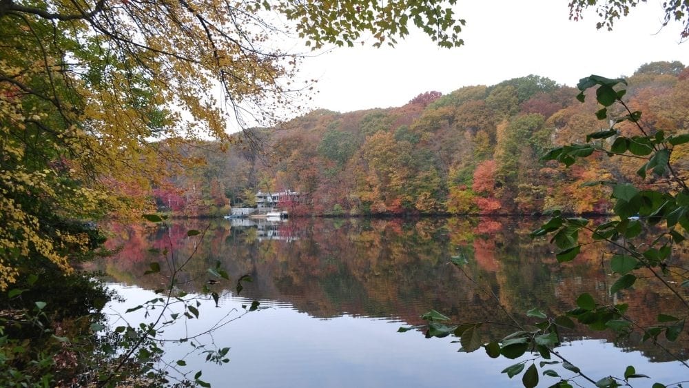 View from the bank of a river in autumn. Trees line both banks.