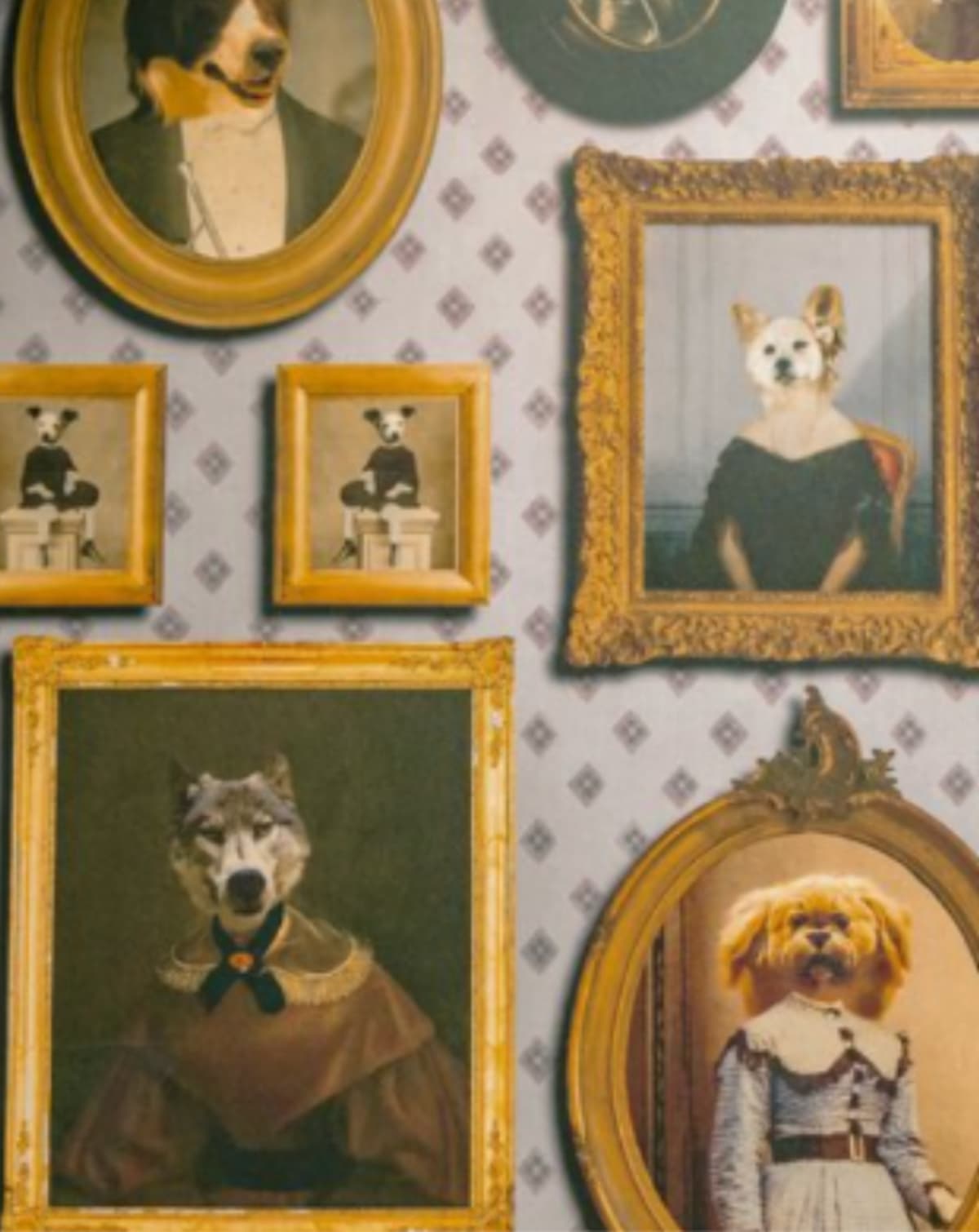 Collection of dog wallpaper with vintage dog portraits