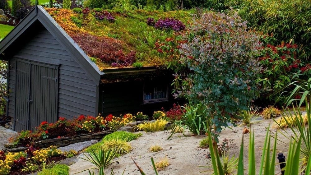 A green roof