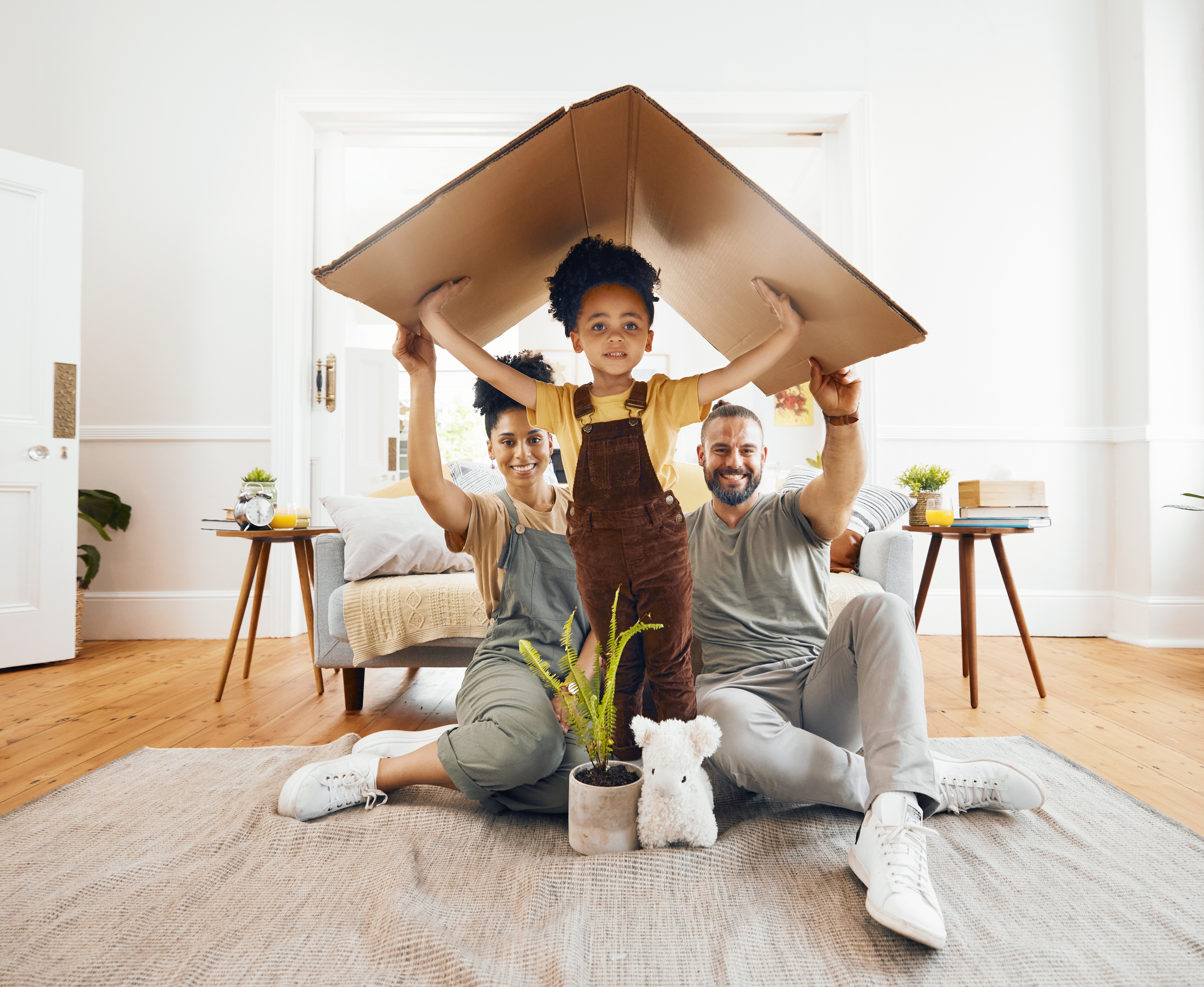 family-cardboard-roof