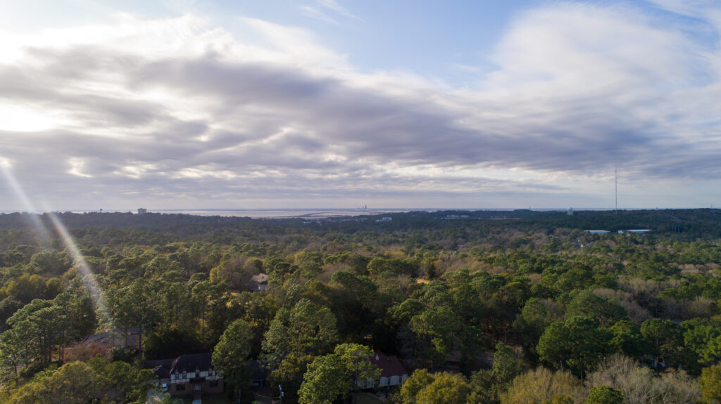 Aerial shot of a forest with a cloudy sky in the background