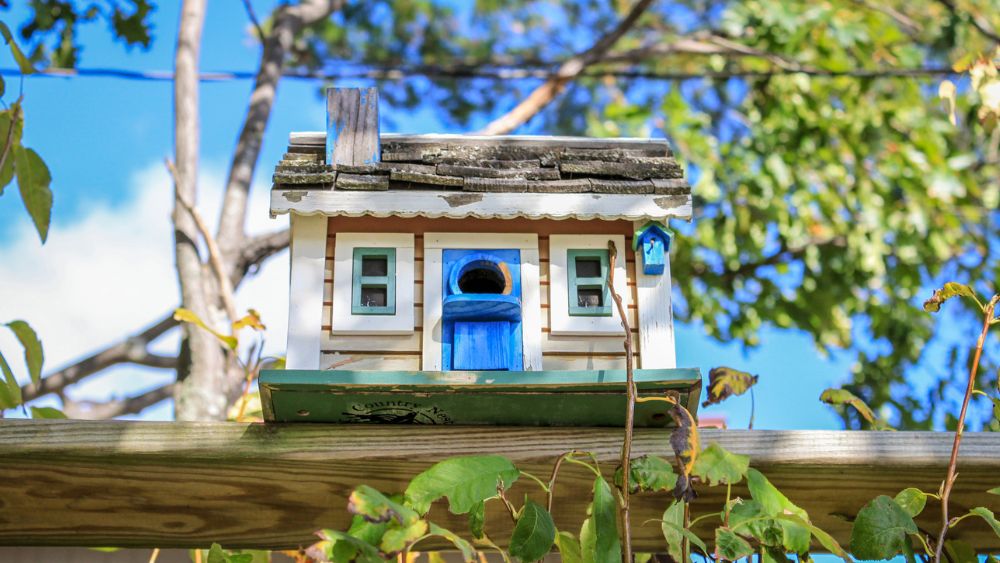 A Birdhouse with a door, windows and chimney on a branch.