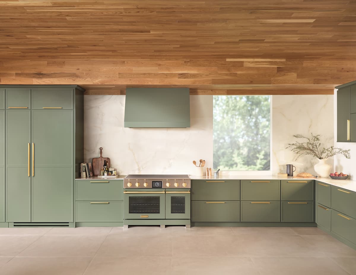 Blue Star Induction Range