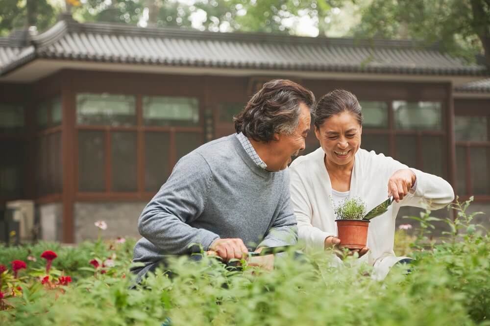 elderly-couple-garden