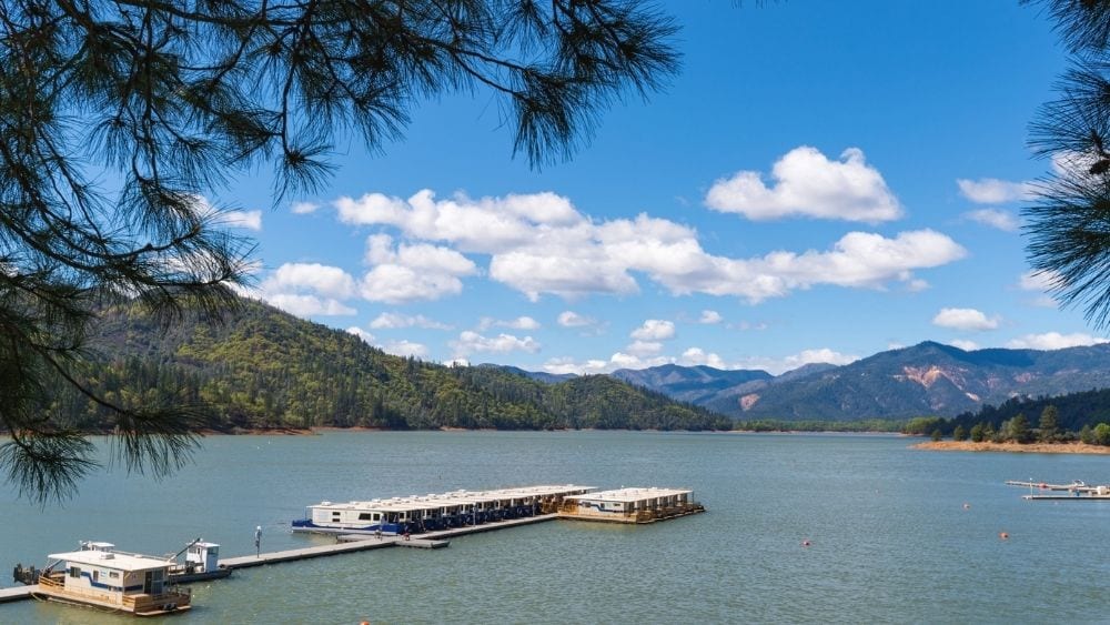 View through the trees of houseboats on a lake.