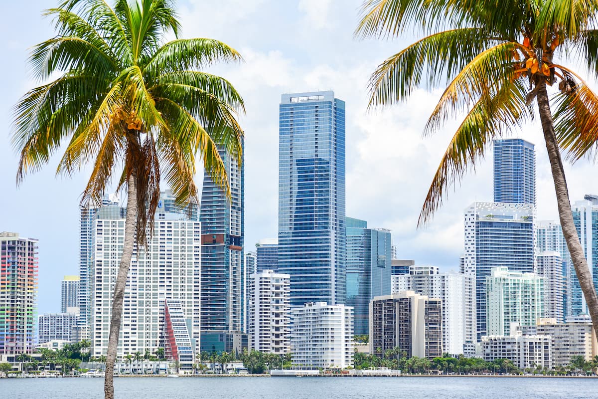 Miami-Florida-skyline-flanked-by-palm-trees
