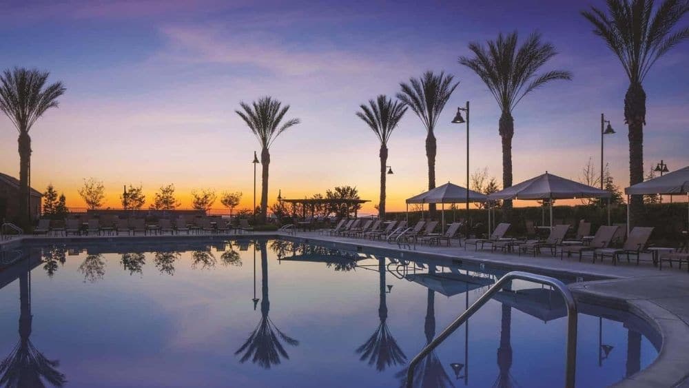 Community pool lined by palm trees at sunset.