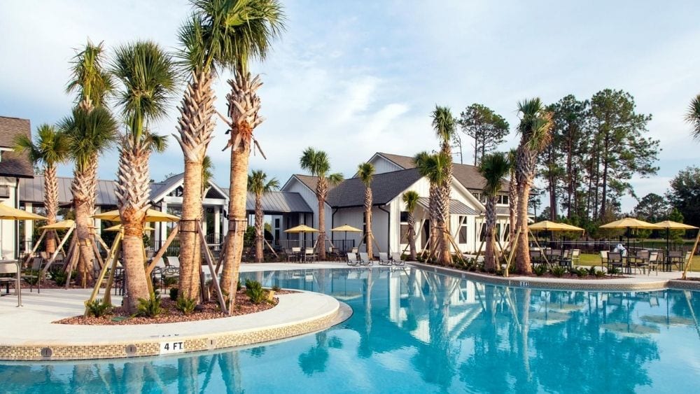 Community pool with palm trees around.