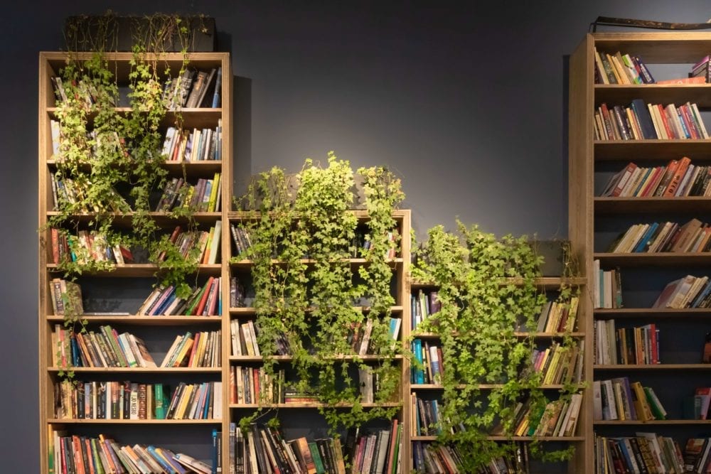 lush-plants-drape-over-beautiful-bookcases