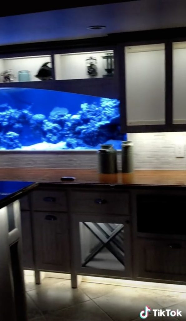 aquarium bar tik tok