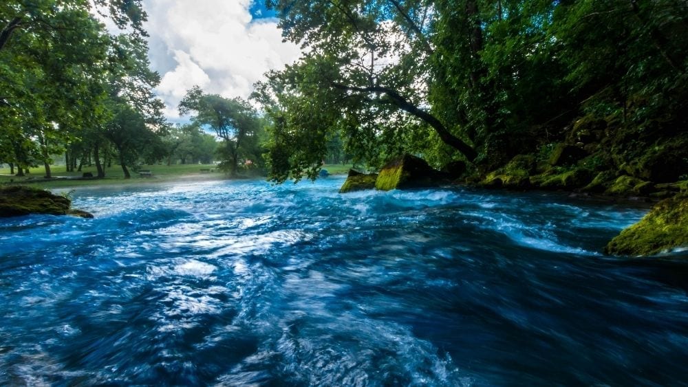 flowing river with trees on both sides