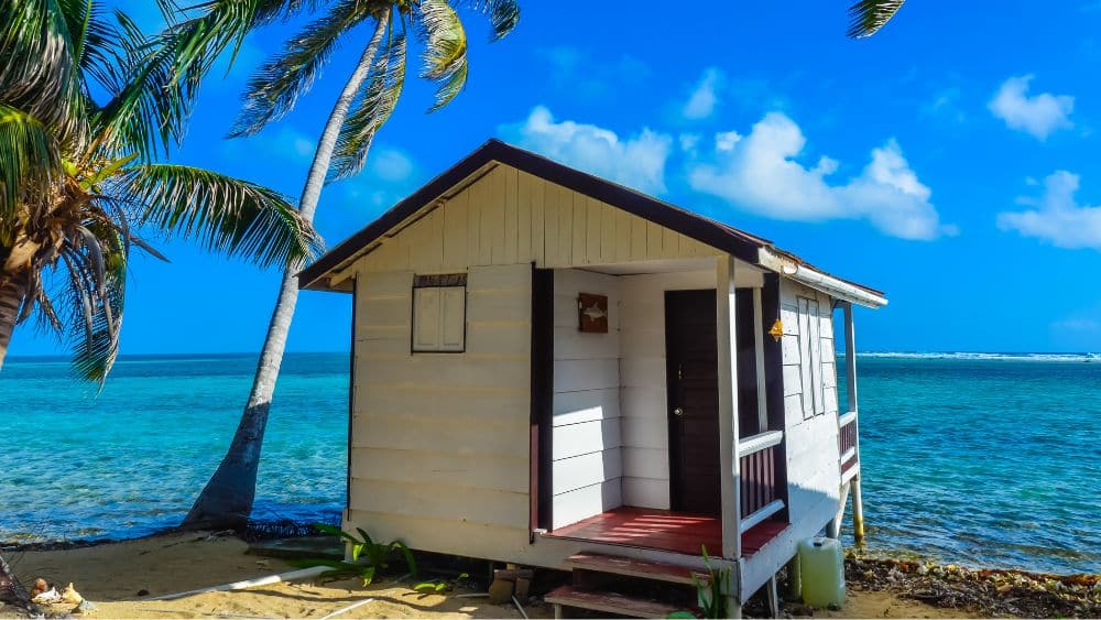 quaint-tiny-home-palm-trees-texas-gulf-coast