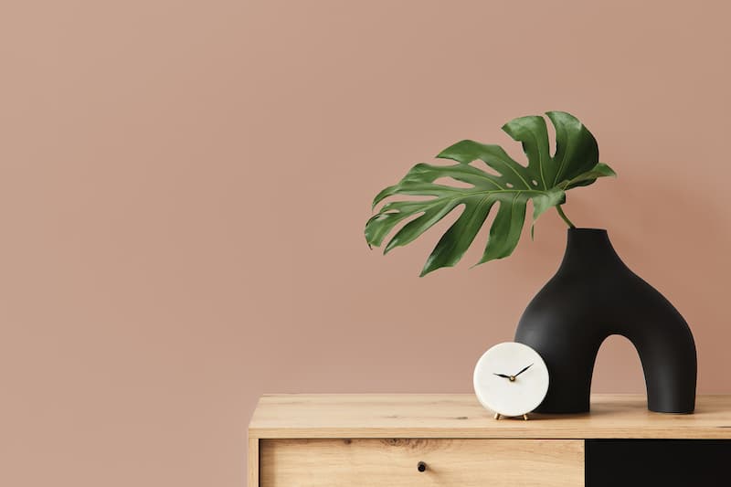 Dunn-Edwards's Carmelized is a spicy terracotta, shown here on a wall with a dresser in front of it