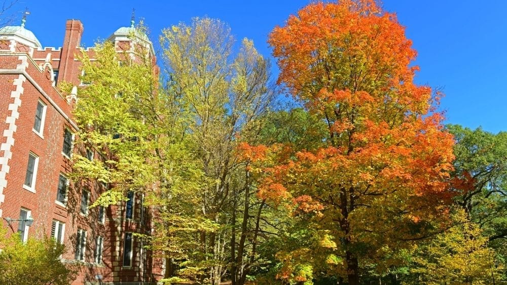 Orange, green, and yellow trees against a blue sky, with part of a red brick building visible on the right edge of the photo.