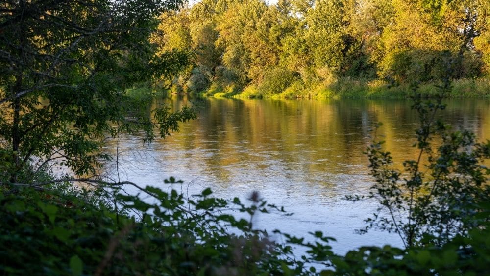 willamette river in corvallis oregon at dusk
