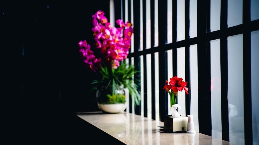 home-upgrades-cannot-wait