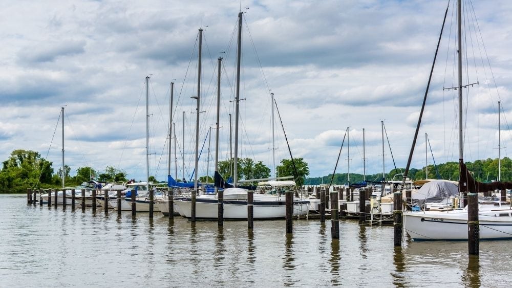A row of sailboats docked in a marina.
