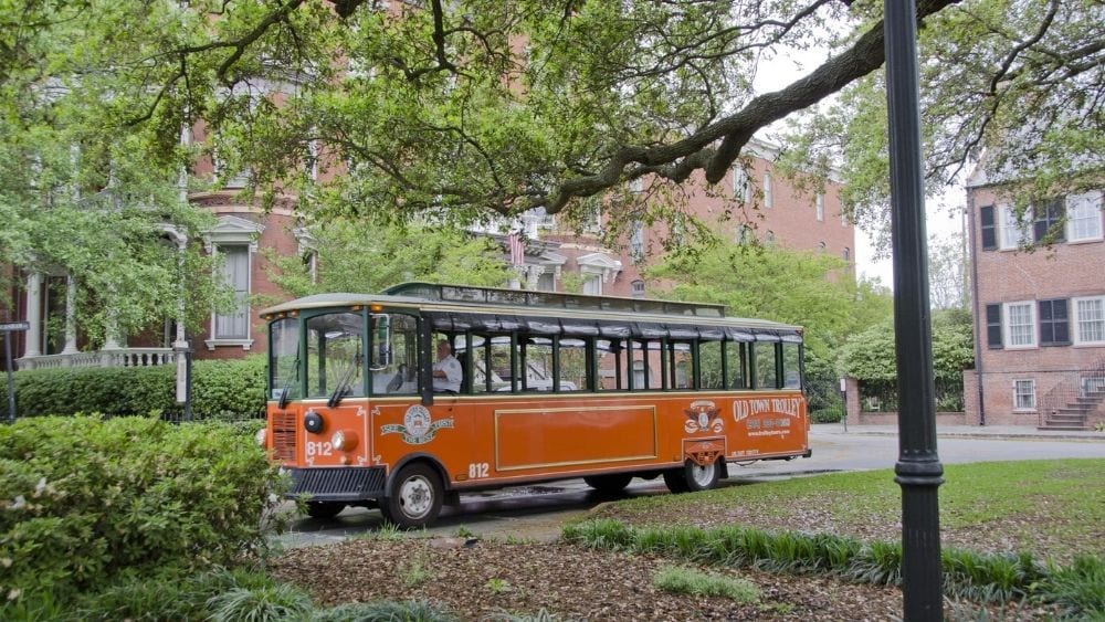 An orange trolley navigates a cobblestone street surrounded by trees covered in Spanish moss.