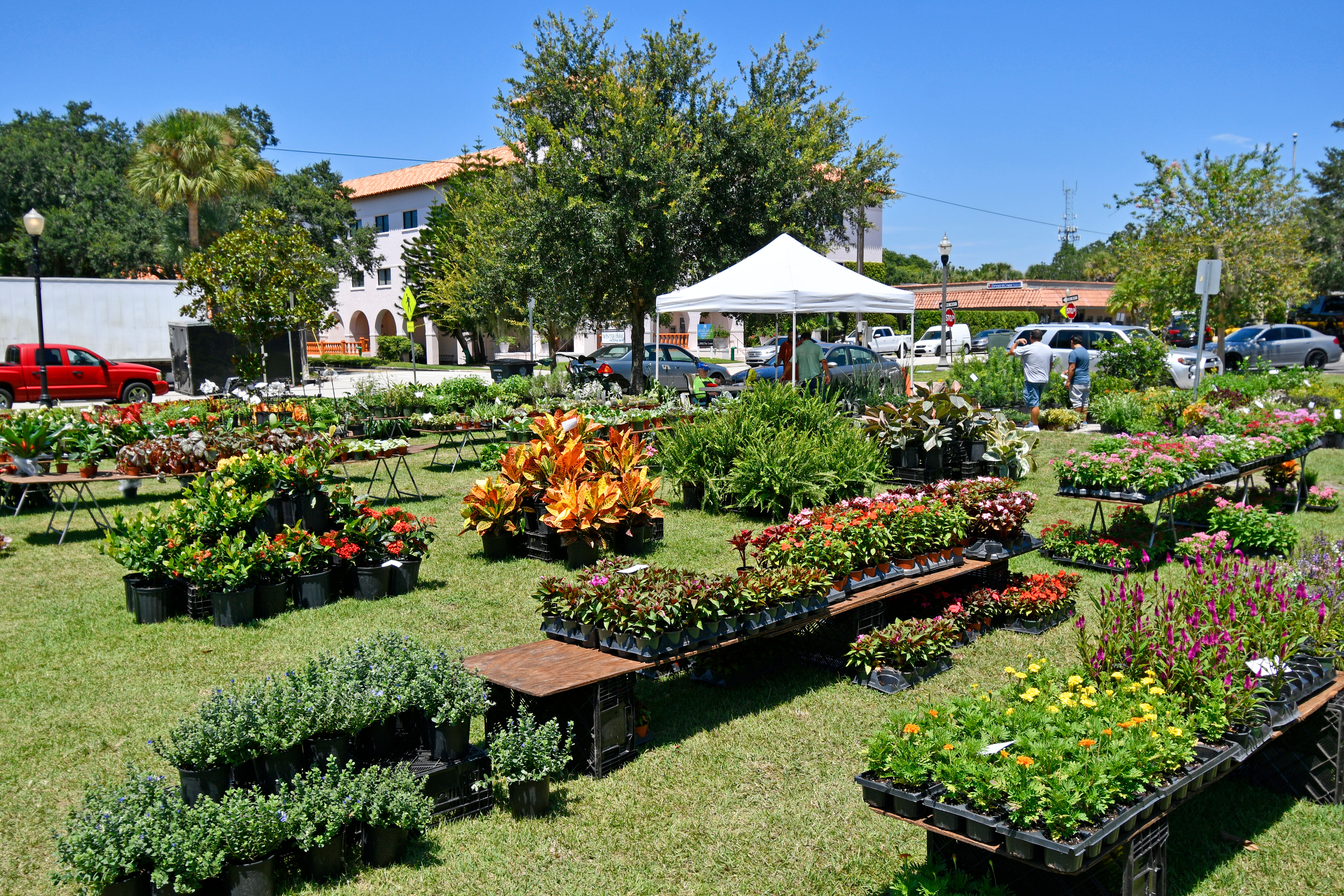 flowers, plants, and produce available at a Florida farmers market
