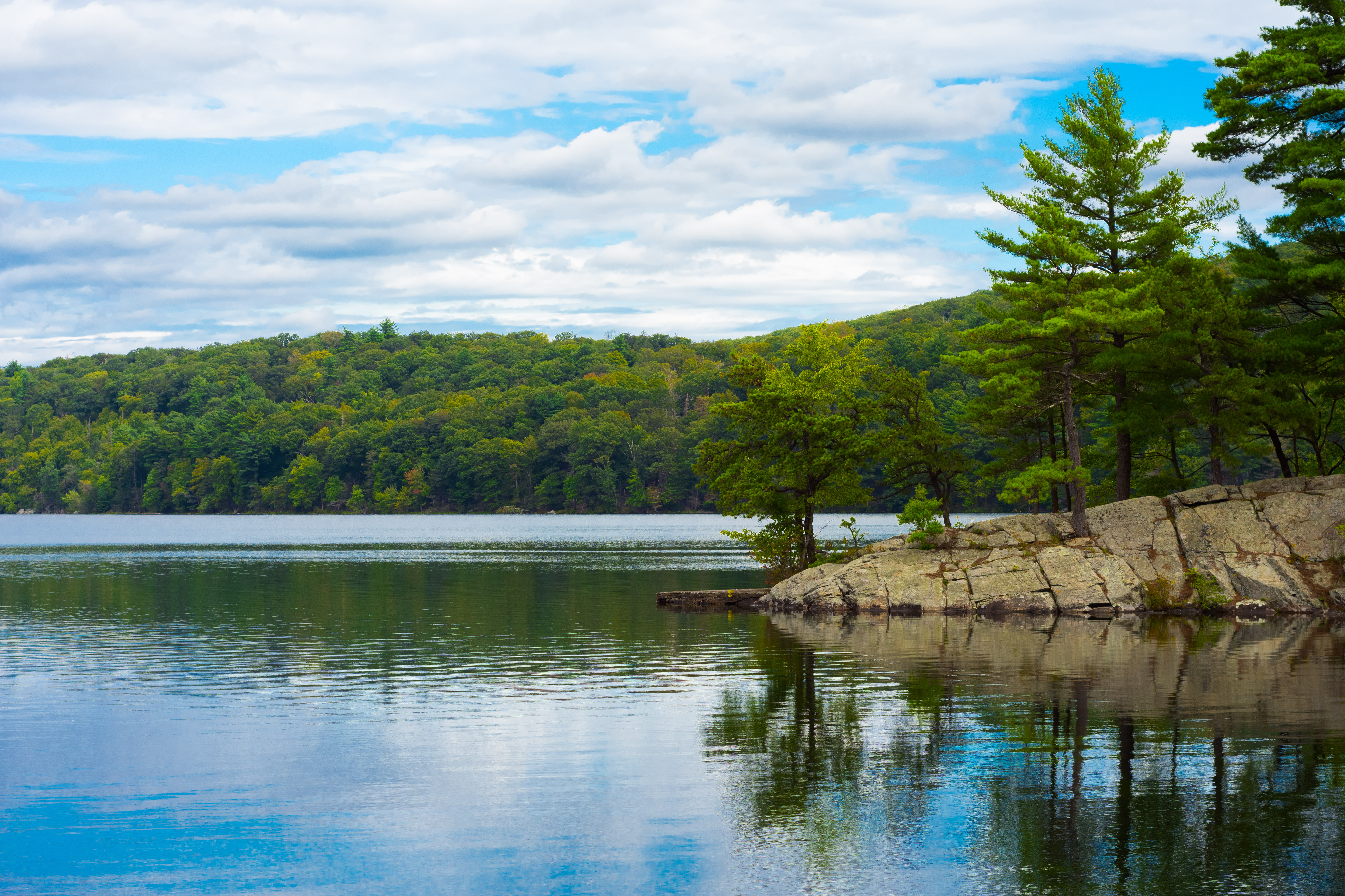 view of tree-lined lake