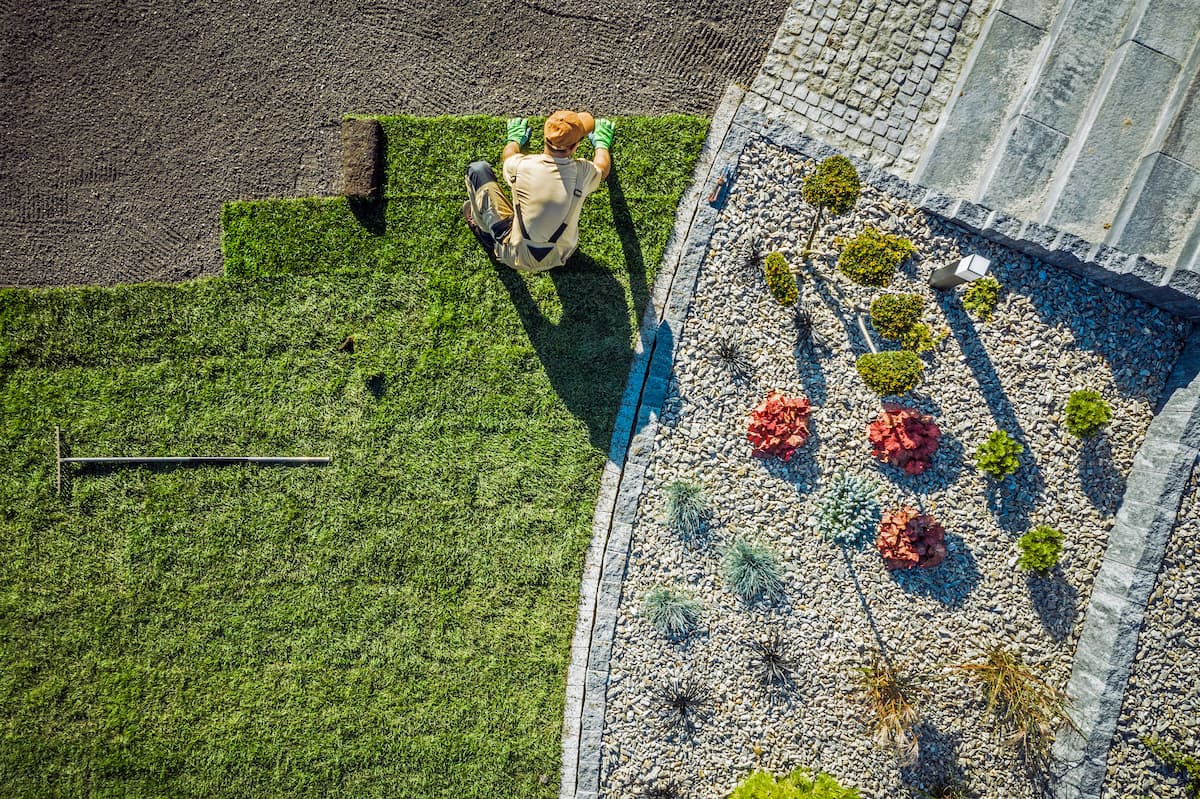 xeriscape landscape hero