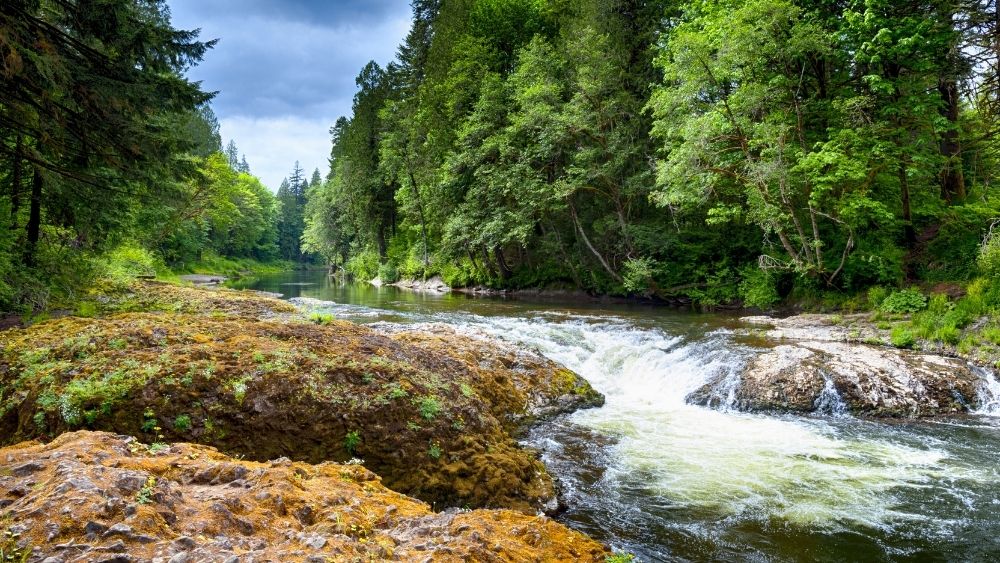 river near aberdeen washingotn