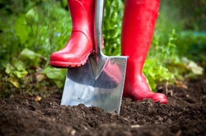 red-boots-digging-with-garden-spade