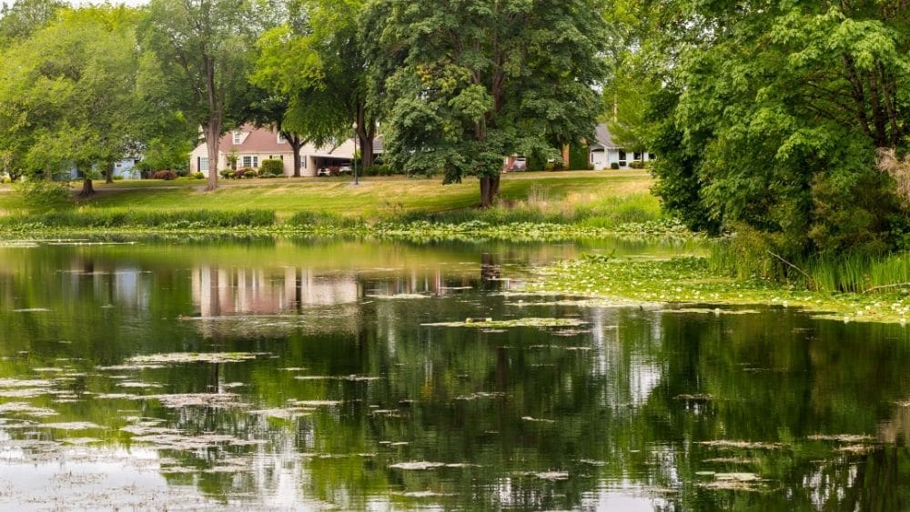 lake sacajawea in kelso, washington
