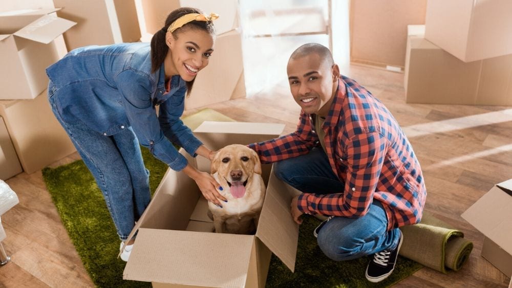 settling-into-house