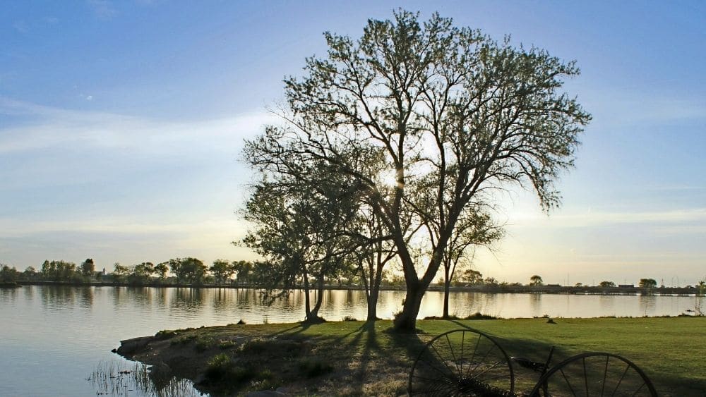 trees on edge of river in Burley, Idaho