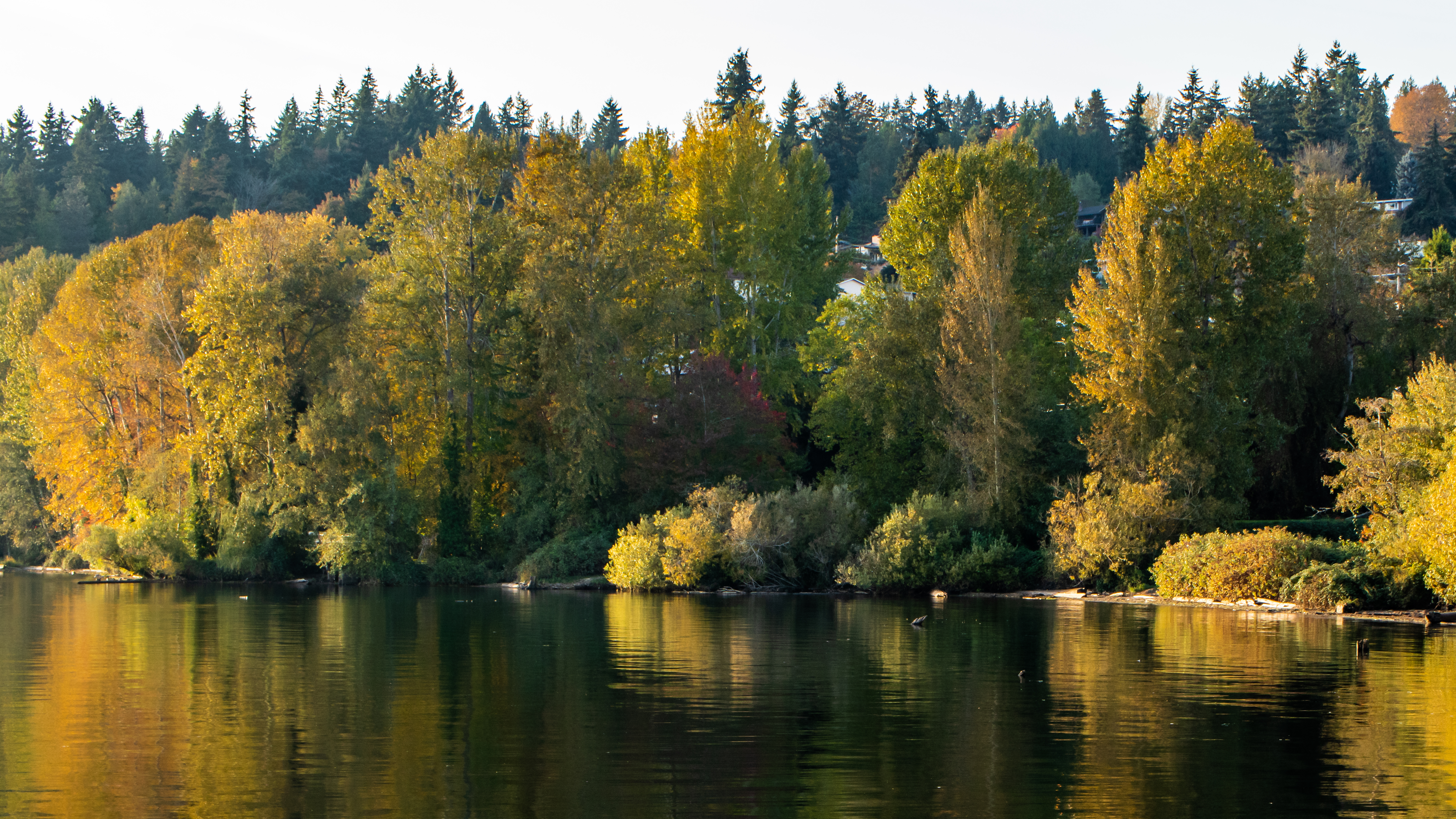 shoreline of lake flanked by beautiful fall foliage filled trees