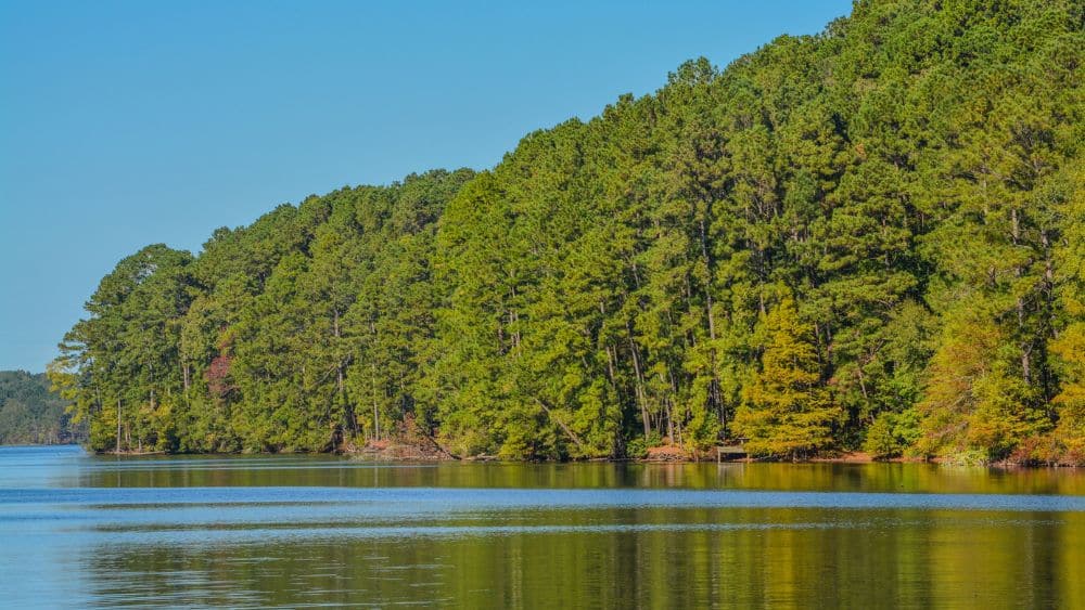 lake-claiborne-state-park-louisiana