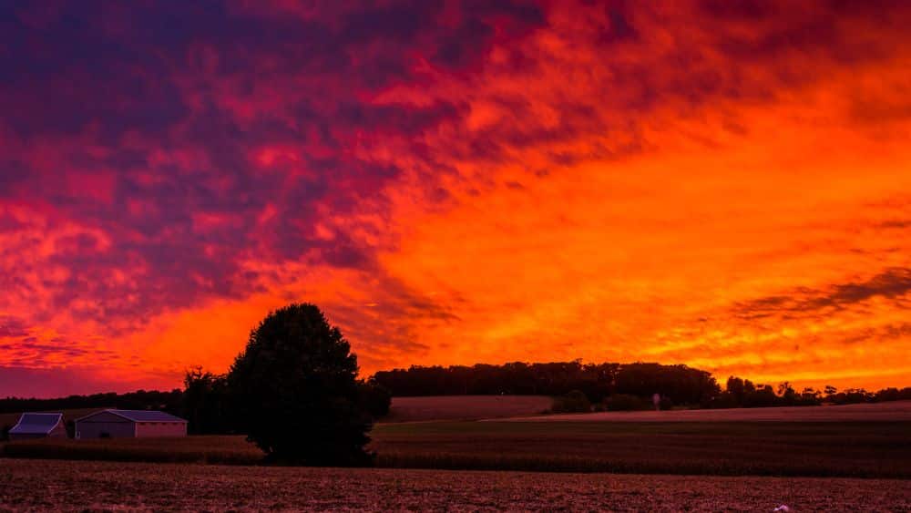 Beautiful red, orange and purple sunset over a field